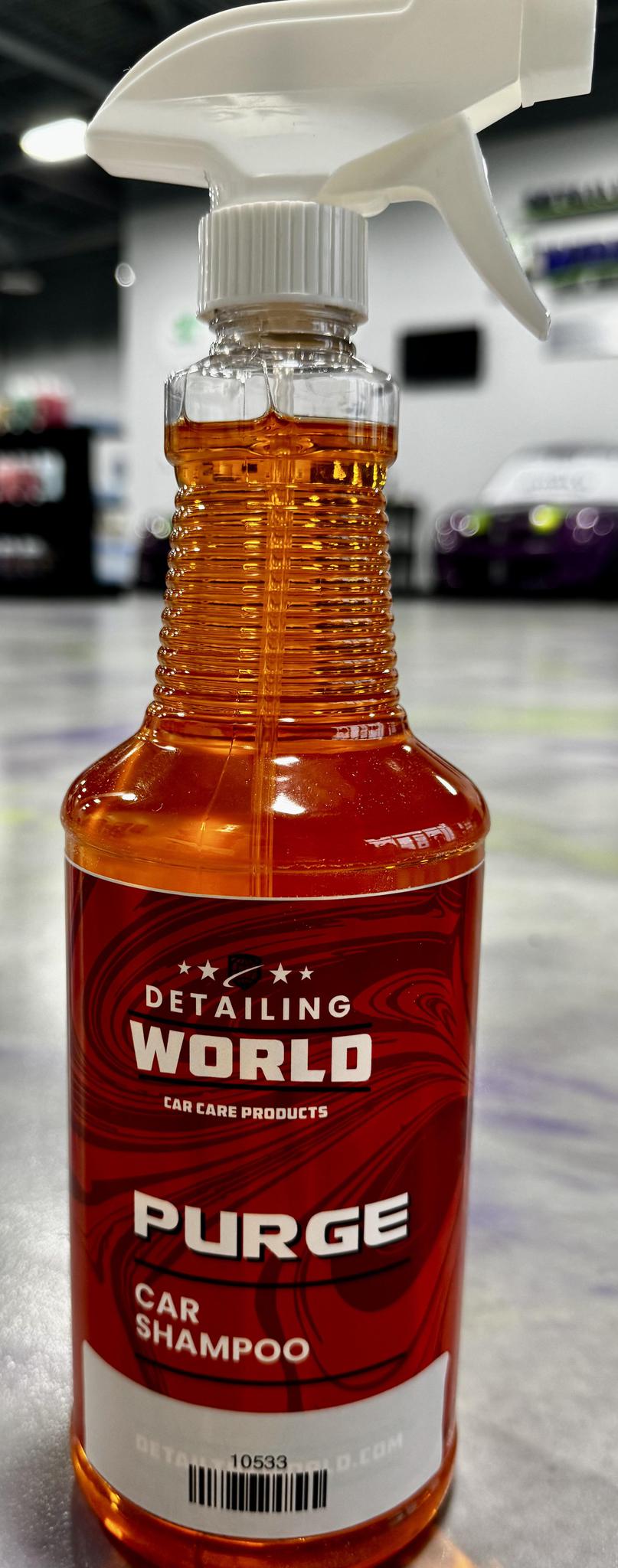 Detailing World Purge